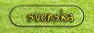 svenska - schwedisch